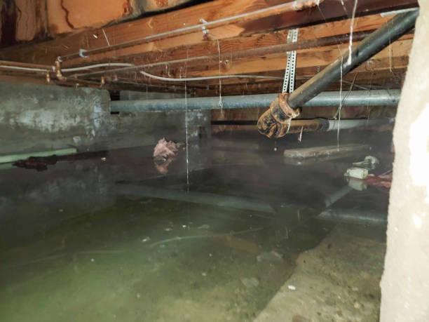 Best Emergency water extraction  in Odessa, TX