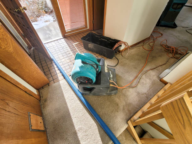 Best Local water damage restoration  in Odessa, TX