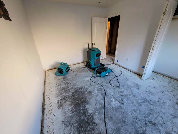 Best Professional water damage repair  in Odessa, TX