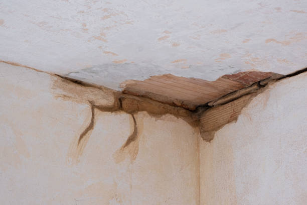 Best Residential water damage restoration  in Odessa, TX