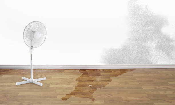 Best Water damage restoration near me  in Odessa, TX