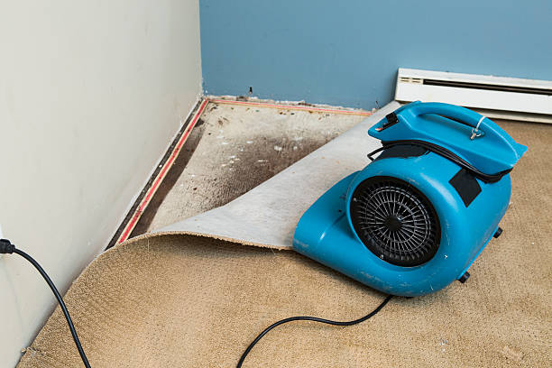 Best Basement water damage restoration  in Odessa, TX